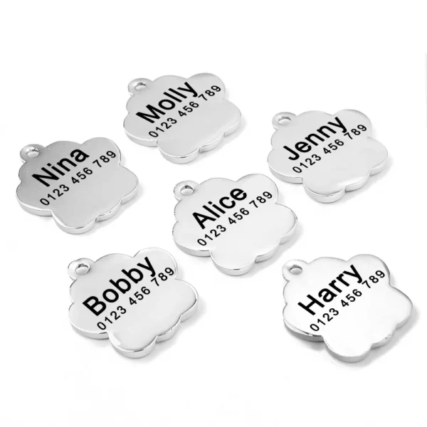 Placa identificativa para gatos personalizada - Imagen 3