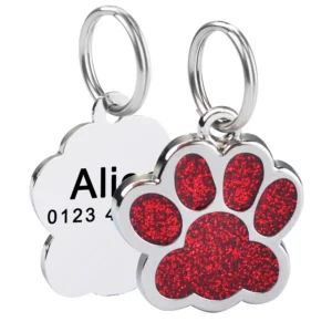 Placa identificativa para gatos personalizada