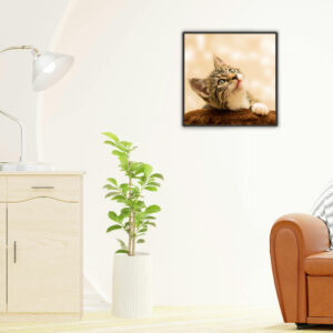 Cuadro cuadrado con el retrato de un gato colgado en la pared junto a una butaca y una planta decorativa.