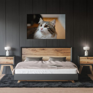 Cuadro horizontal con la imagen de un gato colgado sobre la cama en un dormitorio moderno.