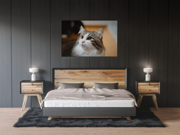Cuadro horizontal con la imagen de un gato colgado sobre la cama en un dormitorio moderno.
