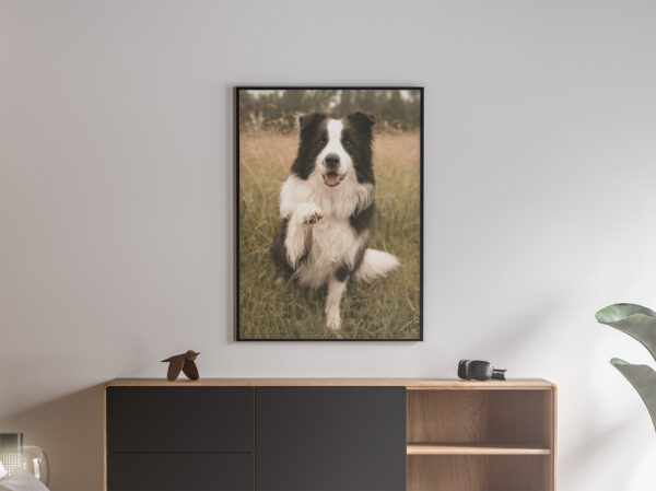 Cuadro vertical personalizado con la imagen de un perro Border Collie sobre fondo artístico.