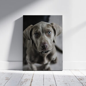 Lienzo vertical personalizado con la imagen de un perro sobre fondo artístico.