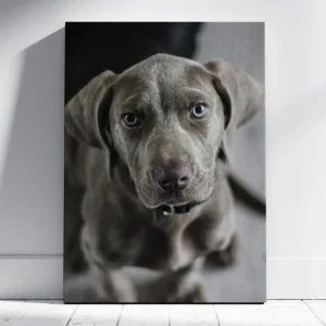 Lienzo vertical personalizado con la imagen de un perro sobre fondo artístico.