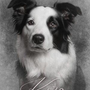 Retrato personalizado de un perro con efecto dibujo a lápiz impreso en alta calidad