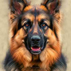 Retrato digital de Lola, una pastora alemán con efecto al óleo sobre papel texturizado.