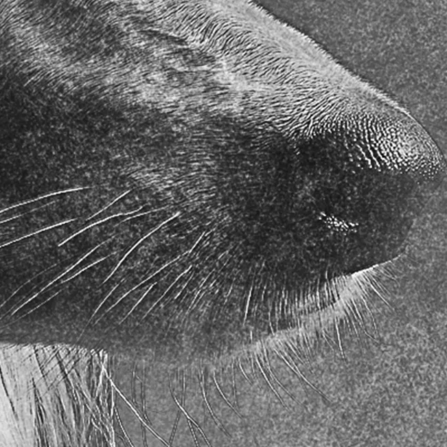 Detalle de textura del estilo a lápiz