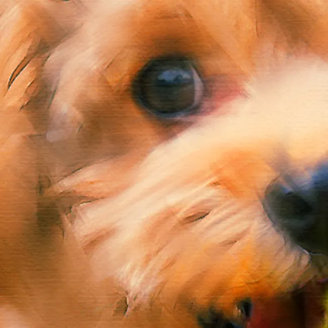 Detalle del estilo al óleo sobre el pelaje