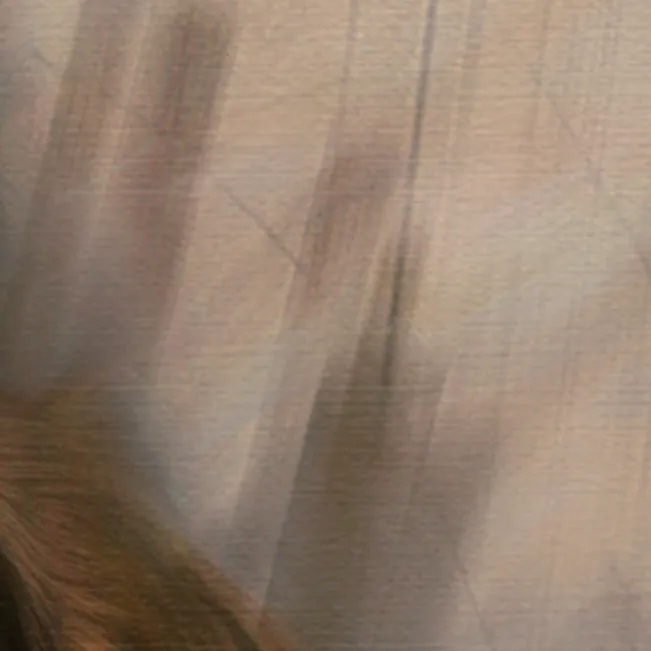 Detalle del fondo en el estilo al óleo