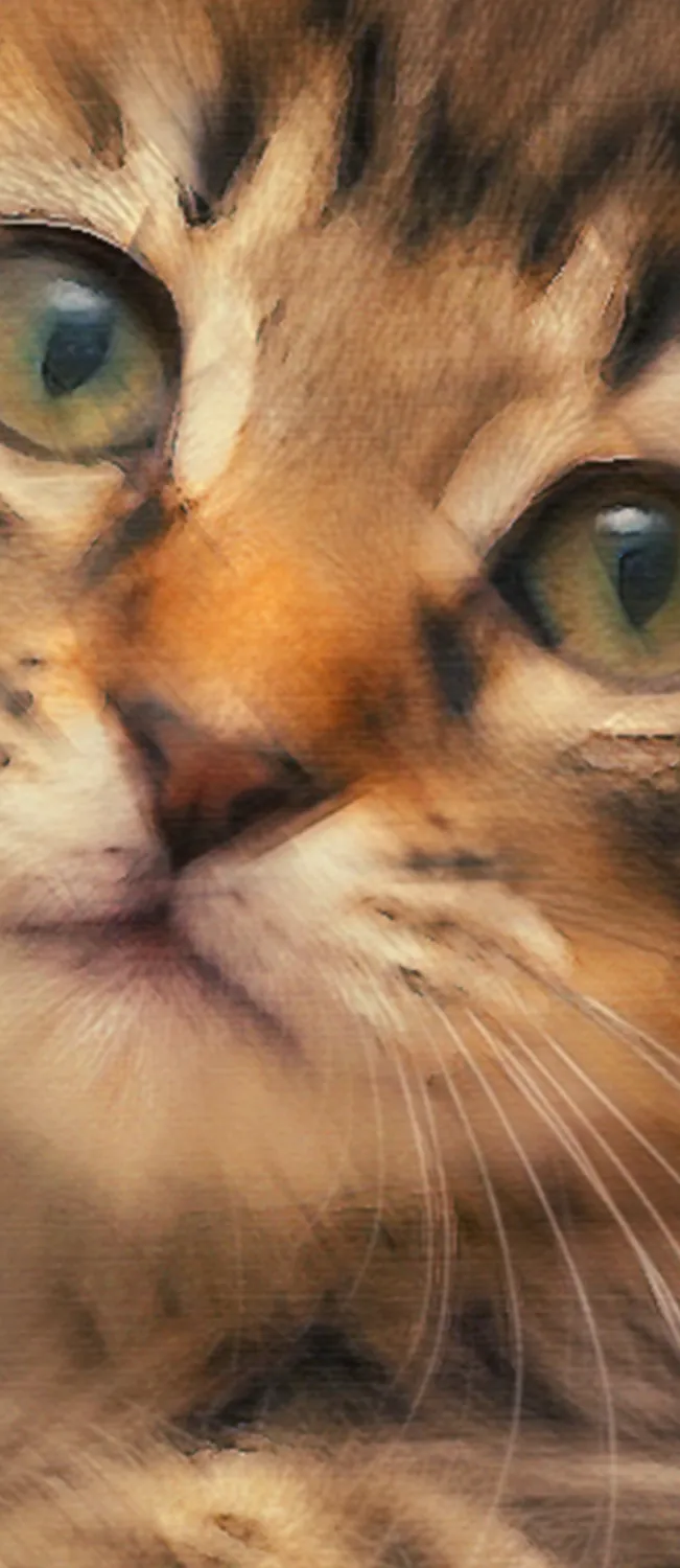 Detalle del estilo al óleo sobre el rostro