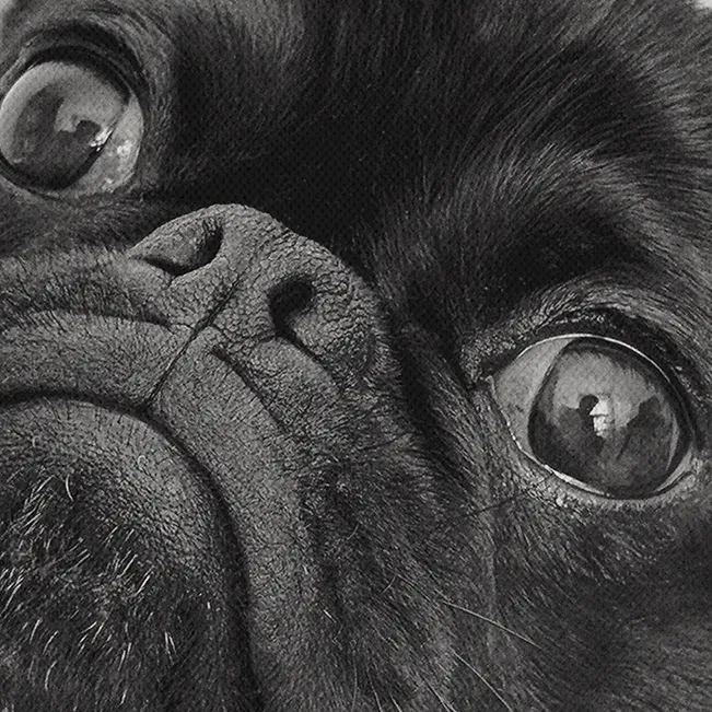 Detalle de la calidad de imagen del lienzo