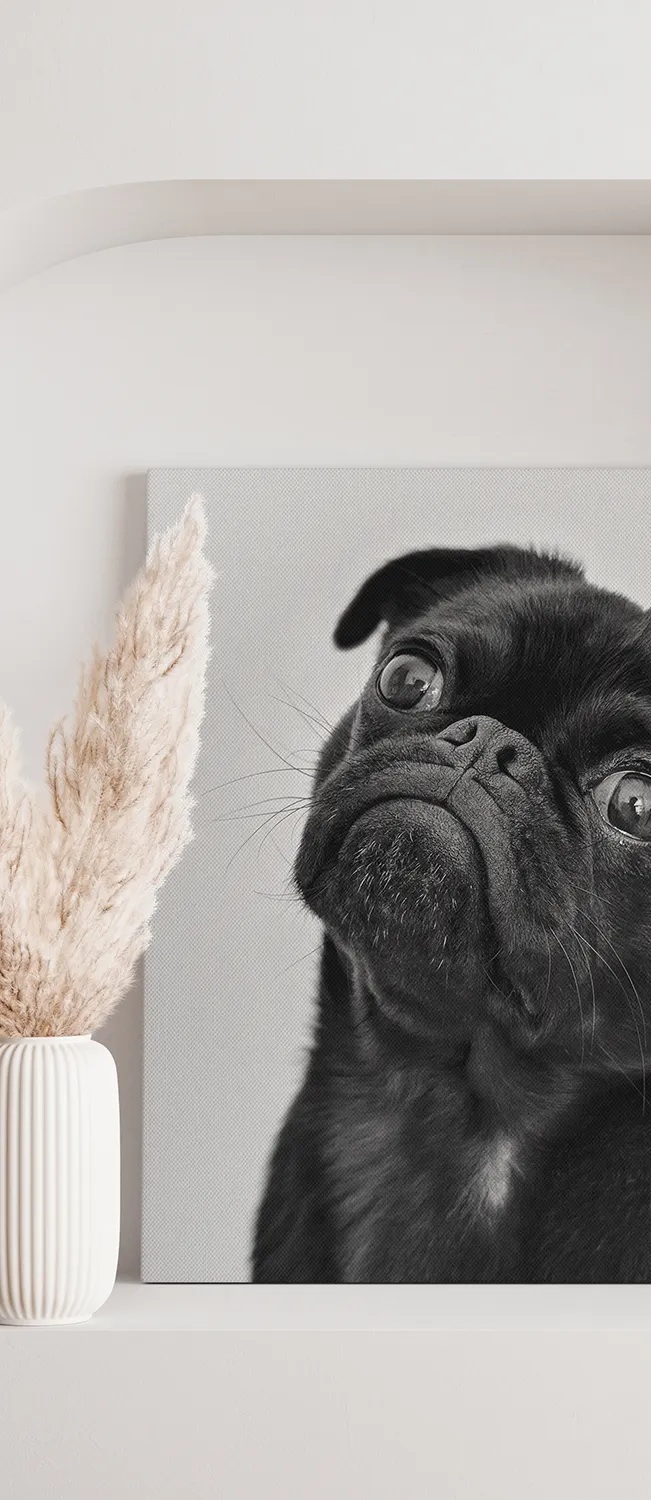 Detalle del borde con imagen doblada