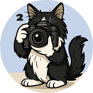 Paso 2 - Sube una foto de tu mascota